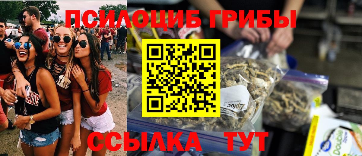 Галлюциногенные грибы прущие грибы  Вход с VPN  Псилоцибиновые грибы Psilocybe  наркота  Зима 